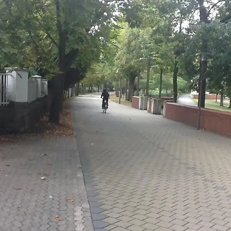 Alexander Bad Kreuznach