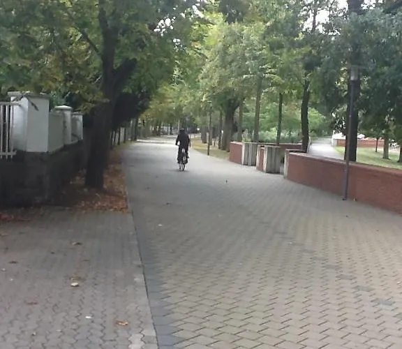 Alexander Bad Kreuznach