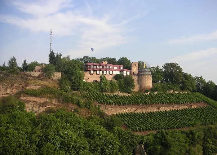 Alexander * Bad Kreuznach